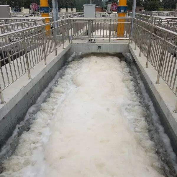 Xinzhong'an Wastewater Treatment Plant Upgrading Project